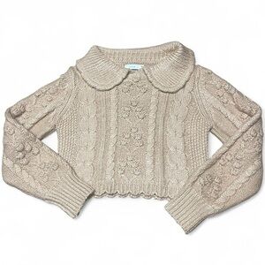 Anthropologie Lush Sweater Women's Small Tan Pullover Cable Knit Cropped Collar